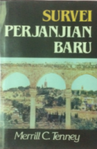 Survei Perjanjian Baru